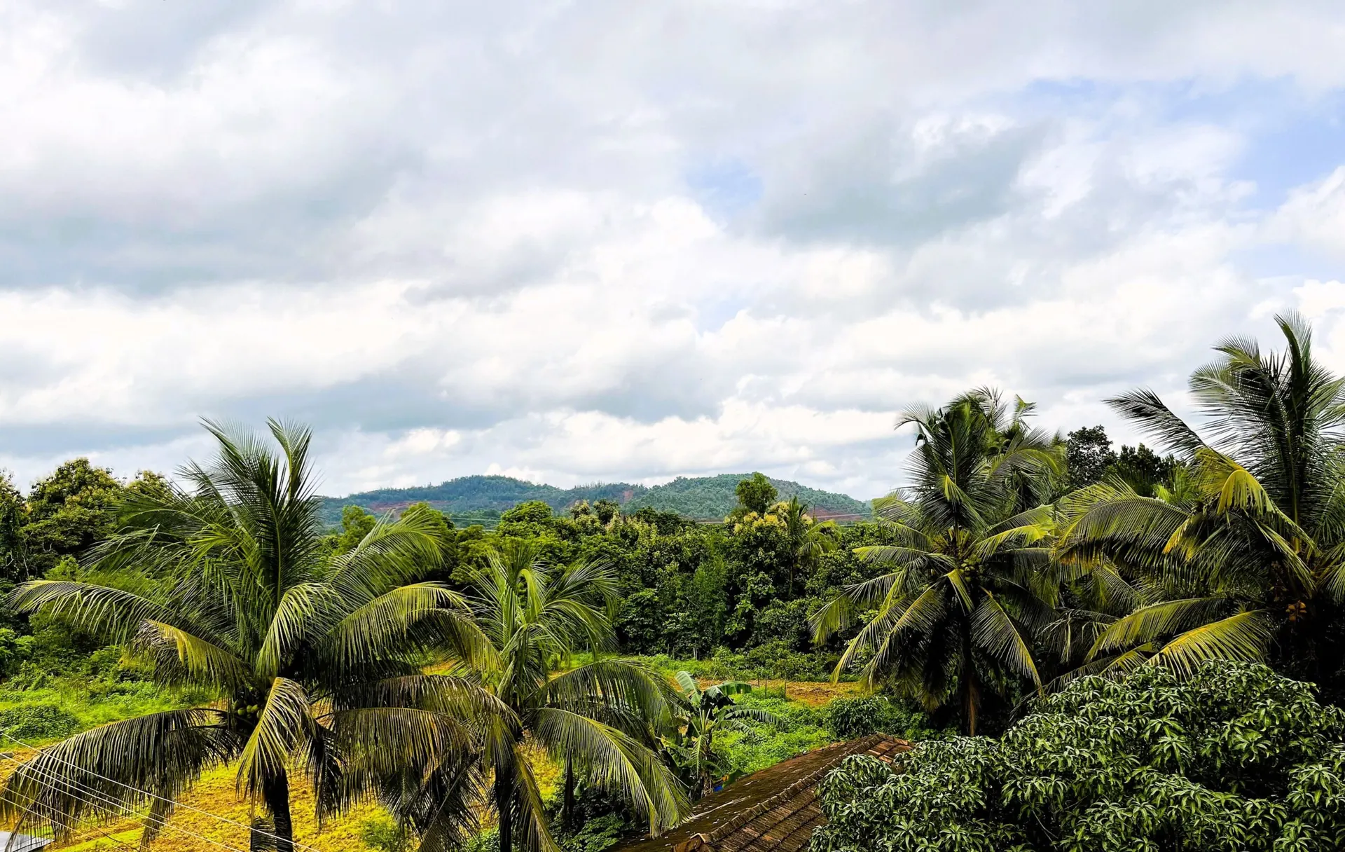 View from the Happy Moon Homestay terrace over coconut palms and green hills in Aldona, North Goa
